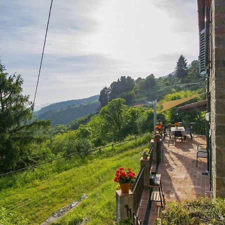 Casa Serena Villa Petrognano  Dış mekan fotoğraf