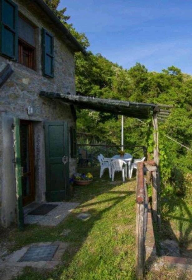 Casa Serena Villa Petrognano  Dış mekan fotoğraf