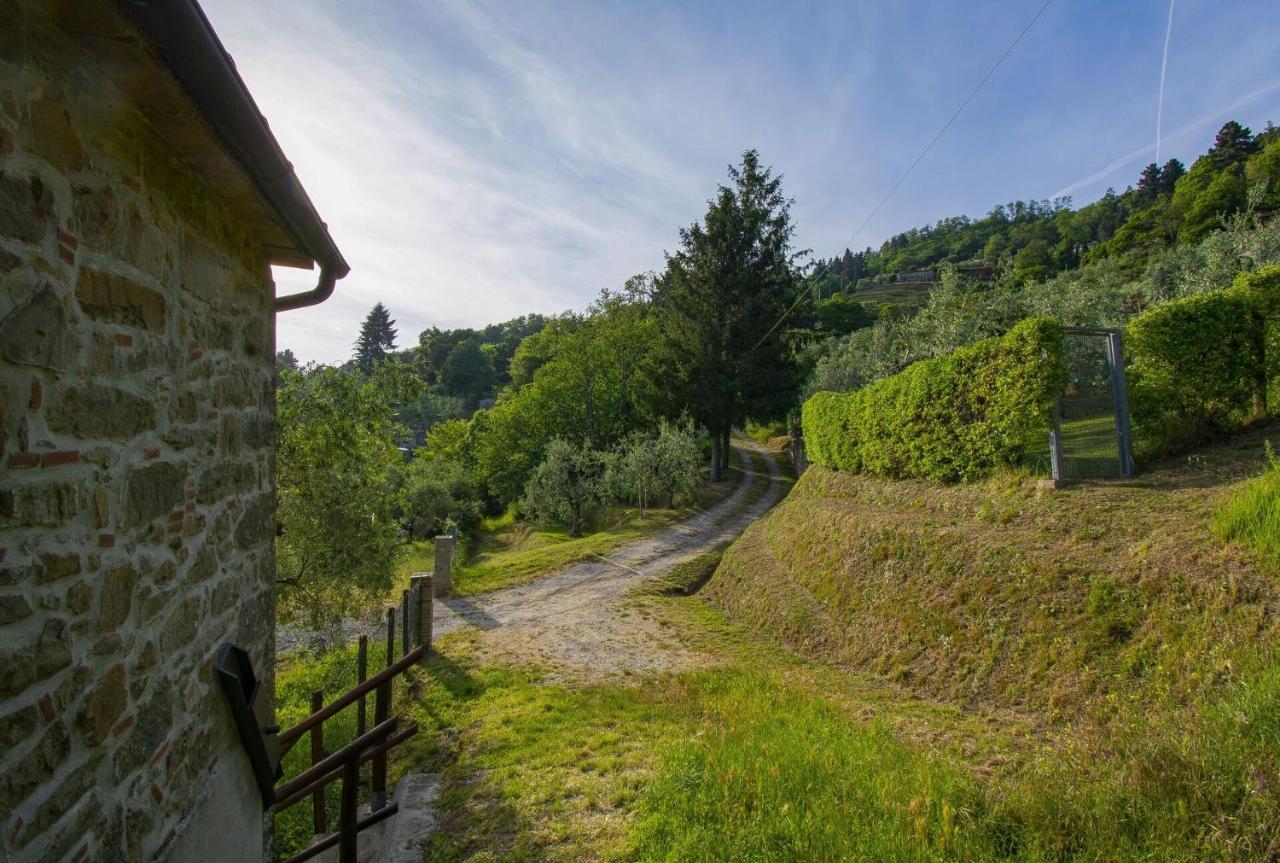 Casa Serena Villa Petrognano  Dış mekan fotoğraf