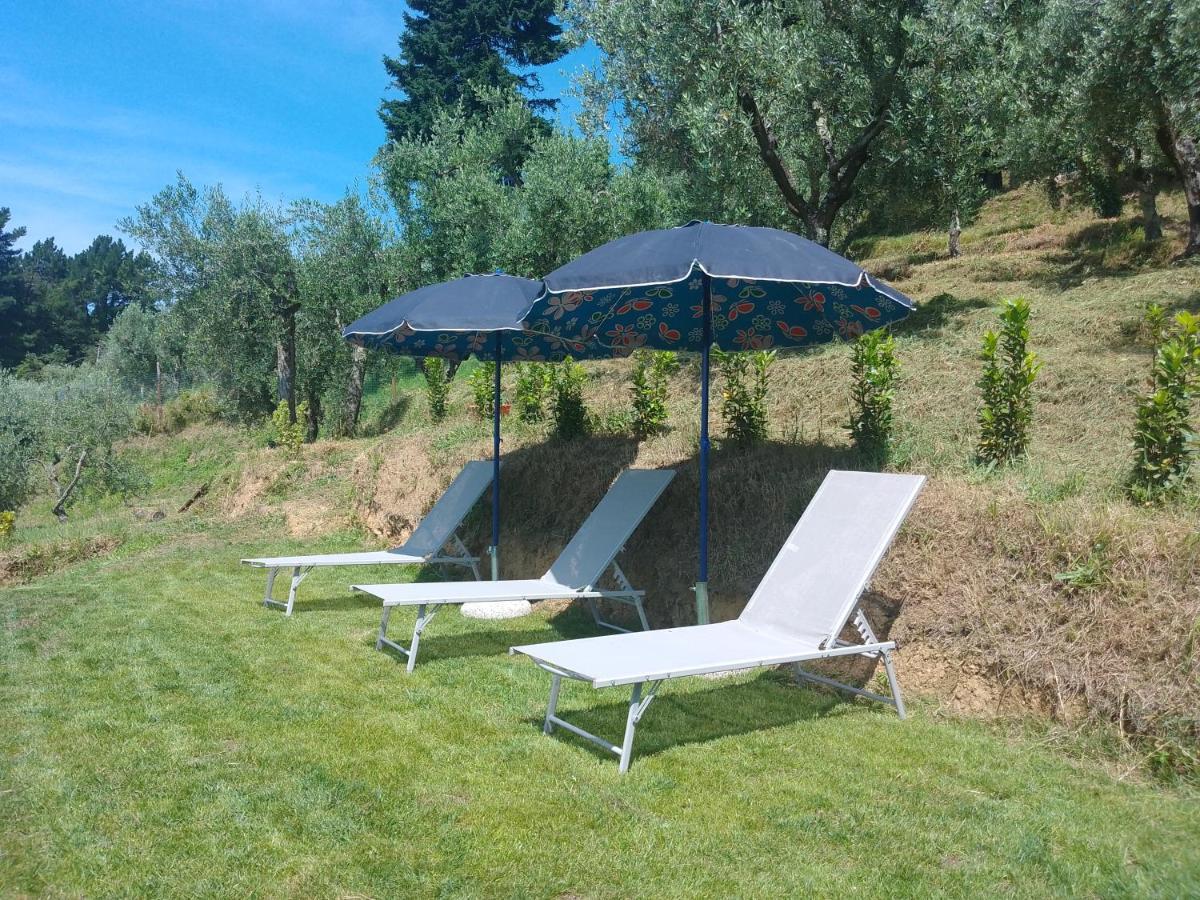 Casa Serena Villa Petrognano  Dış mekan fotoğraf