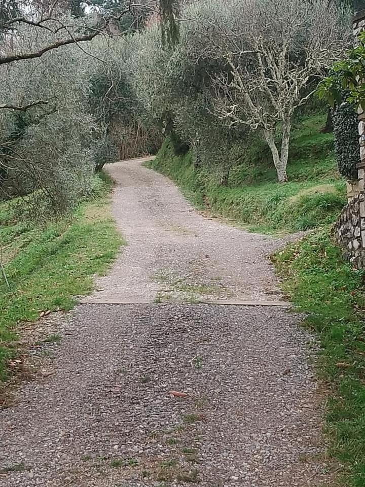 Casa Serena Villa Petrognano  Dış mekan fotoğraf